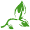 leaf icon