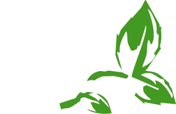 Bestattungshaus An der Finne GbR