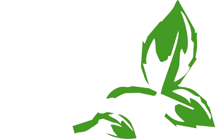 Bestattungshaus An der Finne GbR